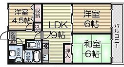 パラディアンフレール