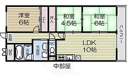 タボロッツアはごろも