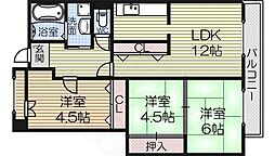 グレース泉大津