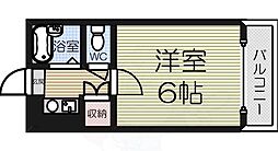 シャルムタガワ 205