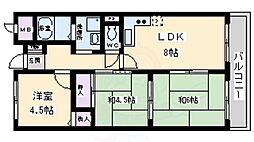 サラスバティ肥子 406