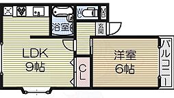 ハイムーン 205