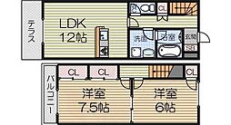サラセニア 101