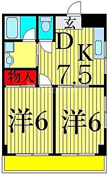 デルフォカーサ・トーア