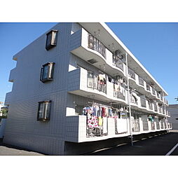 ウィル相模野 305