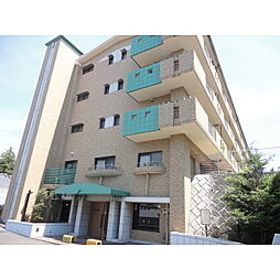 グリーングラス 201