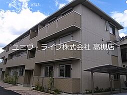 Palissade azelea（パリセイドアゼリア）