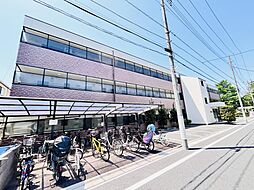 サンホワイトカメリア