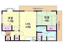 エバーグリーン芋松