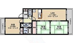 ソルクメリアーナ