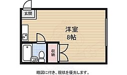 カステロレヴィPAT4