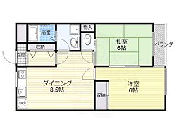 オザサライブコープ