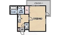 ティムゥル九条