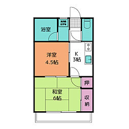 グレイスヤマダ