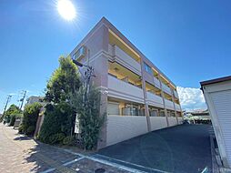 ヴィーナスコート 106