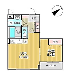 Papillon Sekimae 302