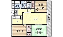 ラド・デル・リオ