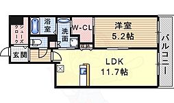 アスター