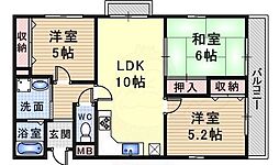 Collection 伊丹