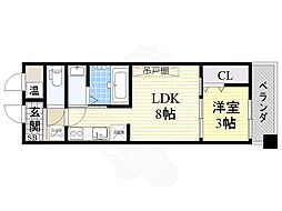 オアシスブリリアント