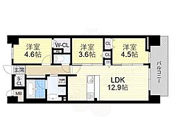 スプランディッド11