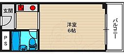 パンジービオラ春日出