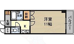 コウジィコート菅原
