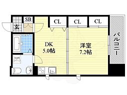 CASSIA TSUKAMOTO 801