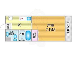 FDS Felice KOHAMA 502