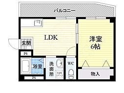 アポロシャルム