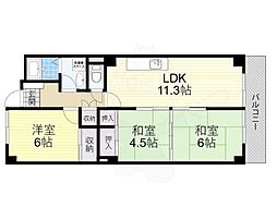 シャルマン徳川