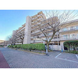 エステ・スクエア武蔵藤沢