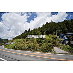 飯能市大字吾野の土地