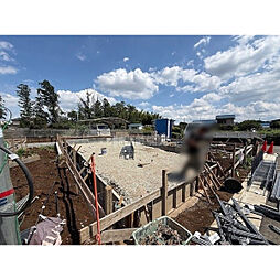 川越市大字安比奈新田の一戸建て