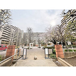 シーズウィッシュ志木