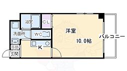 ピアグレース錦 701