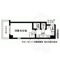 Ａｖｅｎｉｒ朱雀