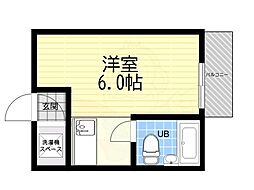 コットンハウス95 501