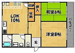 メゾン・カメリア 101