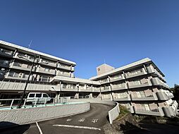 伊東ホームステッド