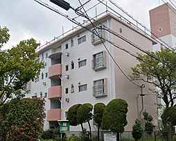 新桜ケ丘団地九棟