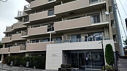 レヴィールファミリア上溝