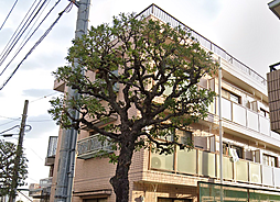 パレス武蔵野壱