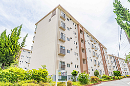 横須賀馬堀台団地19号棟