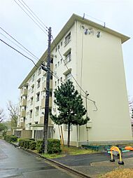 金杉台団地2-2-6