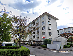 志木ニュータウン東の森壱番街八号棟