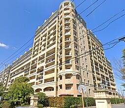 レイディアントシティ向ヶ丘遊園フランス街区