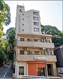 日神パレステージ市川