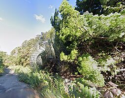大島町野増字エンシュウアイノウ土地