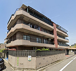 マキシマコーポ高須